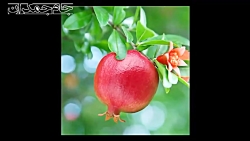 کلیپ کوتاه عاشقانه درباره خدا...