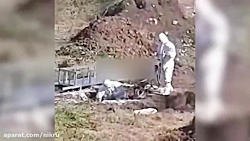 دفن کرونایی ها نزدیک محل سکونت...