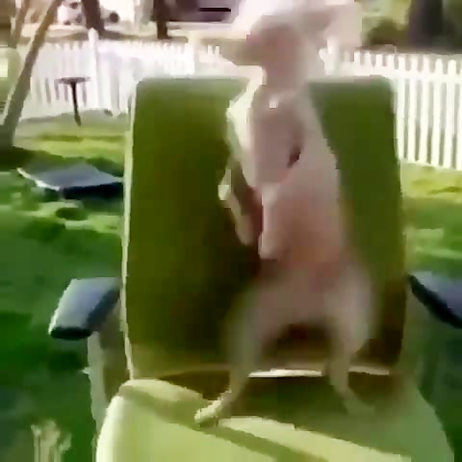 امیدوارم خوشتون بیاد