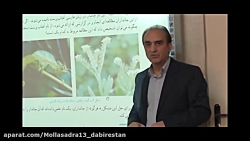 آزموش علوم پایه نهم - فصل 11