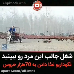 شغل خیلی باحال