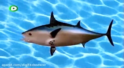 کارتون باب اسفنجی باب اسفنجی