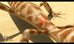 کارتون ماجراهای اسکار