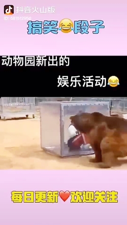 خرس و وحشت، عکاس