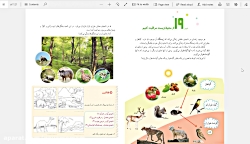 مطالعات اجتماعی چهارم - مراقبت...