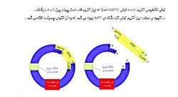 -گفتار 1 فصل 7 زیست دوازدهم  ق...