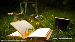  دلتنگی ها شعر و دکلمه نظام ال...