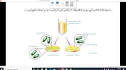 گفتار 1 فصل 7 زیست شناسی دوازد...
