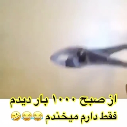 پاره میشی از خنده