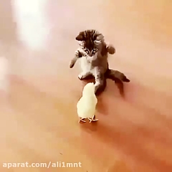 پاره میشی از خنده