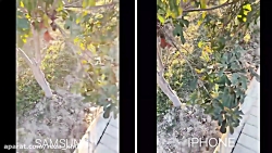 تست و مقایسه دوربین گوشی گلکسی...