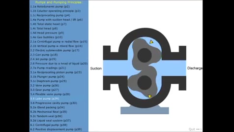 لوب پمپ Lobe Pump اپی‌ژنتیک دارویی