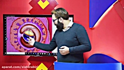 زیست فصل 7 یازدهم - تولید مثل...