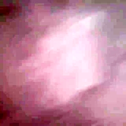 نابودی تروریست های مورد حمایت...