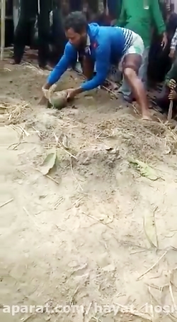 فیلم وحشتناک از مادر و کودک زن...