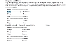 آموزش مفرد و جمع و لغات در زبان اسپانیایی