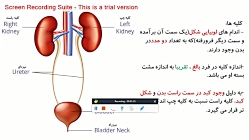 تدریس فصل ۵ زیست دهم صفحه ۷۰ م...