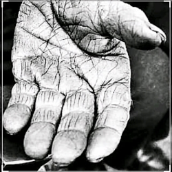 روز پدر   پدر  روز مادر   روز...