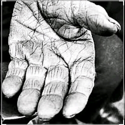 روز پدر   حسین کلام  روز مادر...