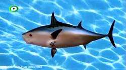 کارتون باب اسفنجی باب اسفنجی