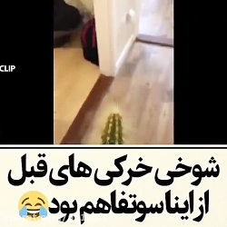کلی کلیپ خنده دار و دابسمش و د...