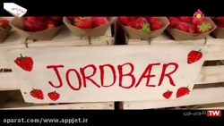 انیمیشن سینمایی تپه خاکستری