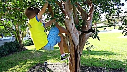 دیانا و روما -دیانا و روما - D...