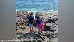 کلیپ جالب و خنده دار_ بخش3