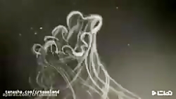 انیمیشن کوتاه (( بسکتبال عزیز...