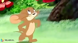 کارتون تام و جری تام و جری