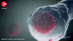 بررسی علمی ویروس کرونا و نحوه...