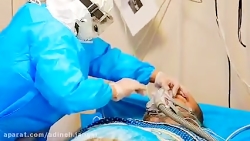 بسیار زیبا | سرود مدافعان سلامت