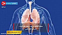 سیر تا پیاز ویروس کرونا