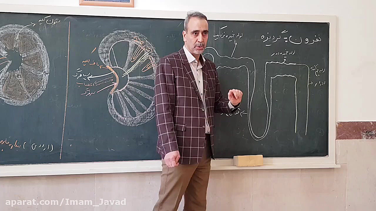 بخش دوم زیست دهم / کلیه و مجاری ادراری Synaptic Vesicle Tracking