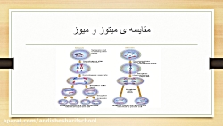 تقسیم یاخته (میوز ) قسمت 3