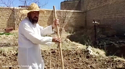 به مناسبت روز درختکاری و هفته...