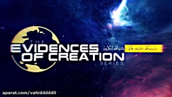 معجزات قرآن - زنبور عسل