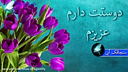 کلیپ روز مرد نماهنگ تبریک روز...