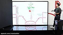 از یاخته تا گیاه (ویدیو دوم)