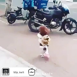 سگ آموزش دیده