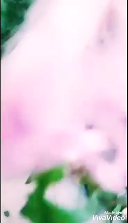 موهای باربی من برای مسابقه بار...