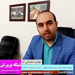 راه های از بین بردن بوی بد مرغداری