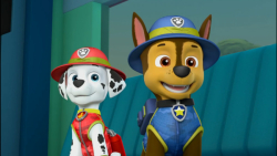 انیمیشن سگهای نگهبان