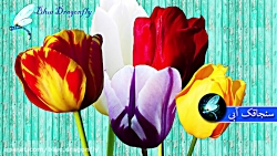 کلیپ روز پدر دخترانه آهنگ تبری...