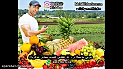 تغذیه سالم(کارشناس تغذیه مهدی...