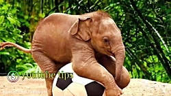 افزایش پنج سانتی متری قد فضانو...