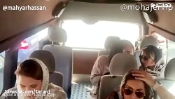 مهیار حسن  کنسرت ابی در یک ون...