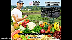 رژیم لاغری(کارشناس تغذیه مهدی...