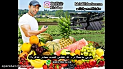 رژیم لاغری(کارشناس تغذیه مهدی...