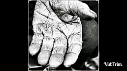 کلیپ تبریک روز پدر اهنگ پدر